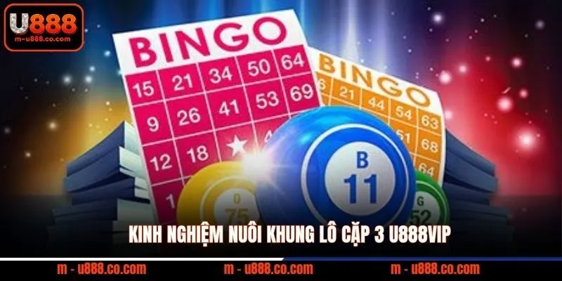 Kinh Nghiệm Chơi Lô Đề U888 Hiệu Quả Cho Người Mới 2 Kinh nghiệm nuôi khung lô cặp 3 U888VIP