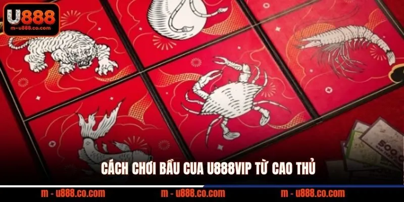 Cách Chơi Bầu Cua U888 – Luật Và Mẹo Thắng Cược 3 Cách chơi bầu cua U888VIP từ cao thủ