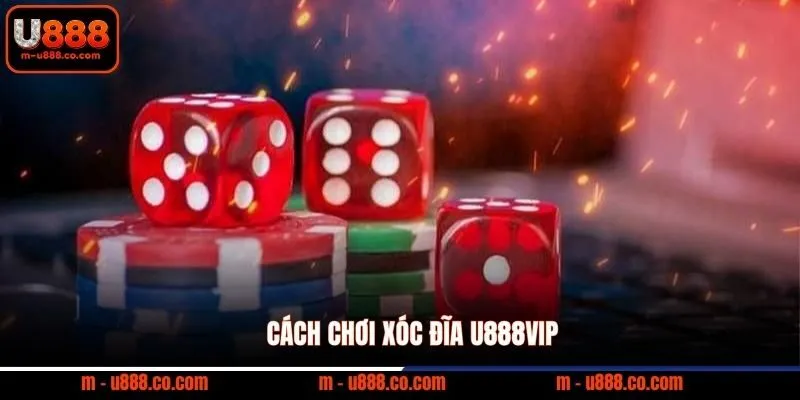 Cách Chơi Xóc Đĩa U888 Online Và Mẹo Cược Dễ Thắng 2 Cách chơi xóc đĩa U888VIP